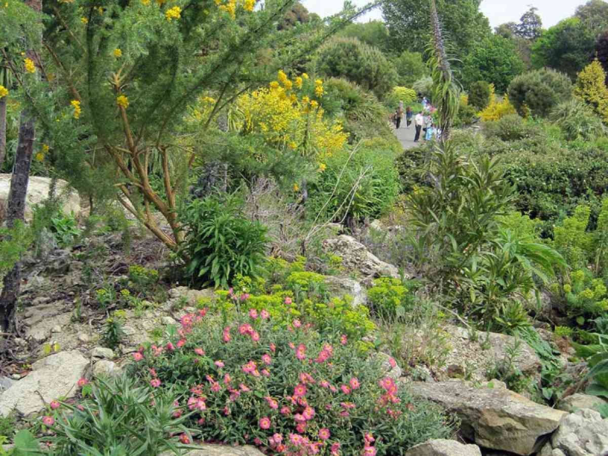 Ventnor Botanic Garden picture gallery
